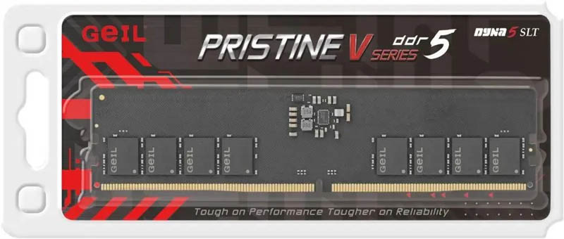 GEIL Pristine V