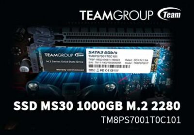 SSD TeamGroup MS30