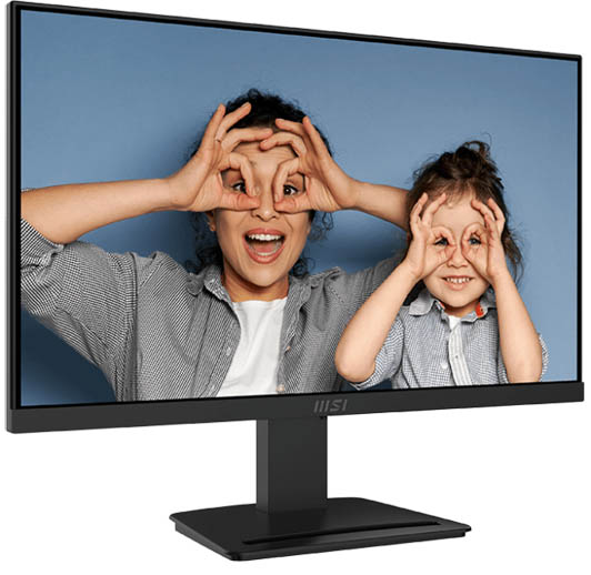 MSI PRO MP253